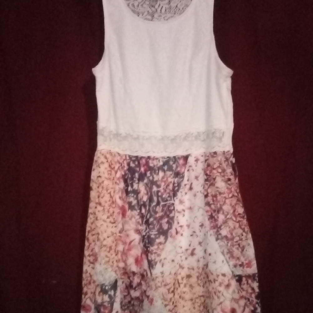 Sheer-Floral Lace Bailey Blue Dress